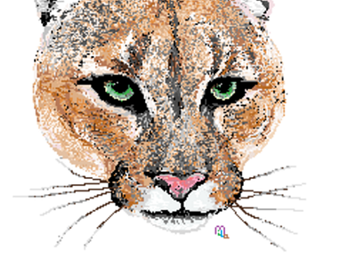 cabeza puma design graphic design illustration