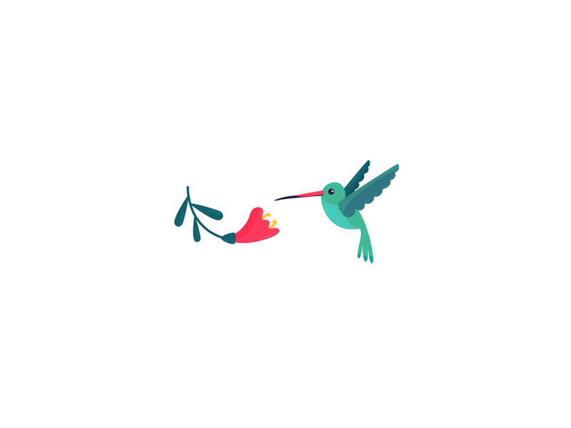 Flying Bird animation