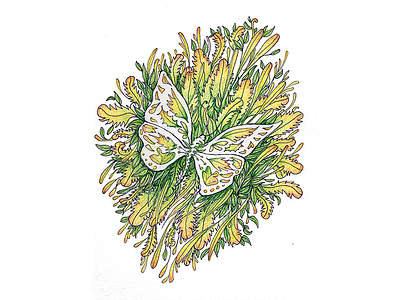 Butterfly Leaves butterfly illustration leaves