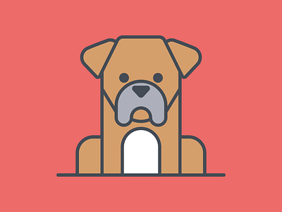 Boxer illustration