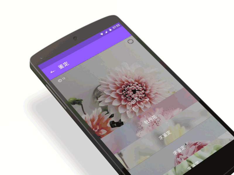 Recognizes Flowers App