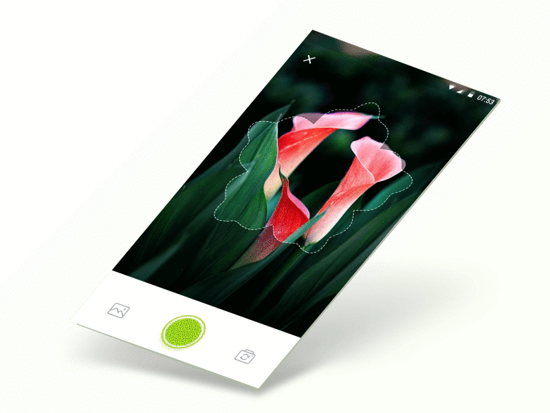 Recognizes Flowers App ae animation clean flower gif plant ui ux