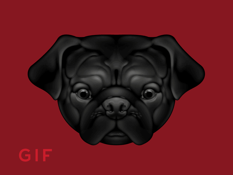 Pug Experiment. animation black dog experiment fur gif grids illustration mesh tool minimalist realism pugs vector
