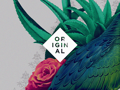 Lucas Borchardt. bird botanical branding collage dj floral music musician vintage modern