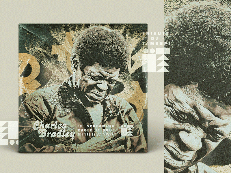 Charles Bradley - Tribute Mixtape charles bradley funk illustration mixtape so pedrada musical soul street art tribute vinyl
