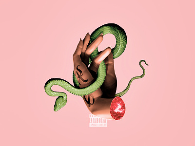SARTØR. album artwork album cover illustration mixed media rap snake