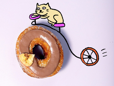 Donut Bicycle animal bicycle cat donut doodle drawing food fun illustration procreate