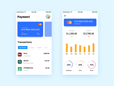 Payment UI app bank card bill consumption data income payment spent ui ux