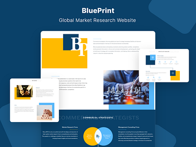 BluePrint - Global Market Research Website appdevelopmentcompany healthcaresoftware healthsolutions healthybody onlinehealthcare webmobtech