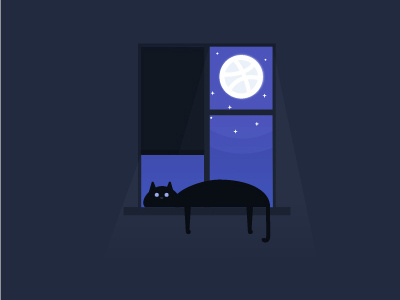 Hello dribbble cat dribbble hello night window