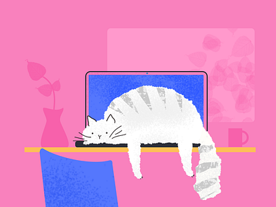 Lazy cat cat illustration laptop lazy photoshop