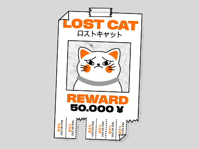 Lost Cat