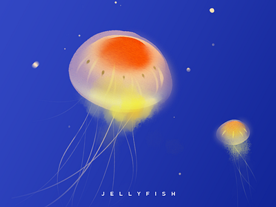 Jellyfish illustration illustration jellyfish ocean