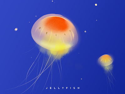 Jellyfish illustration