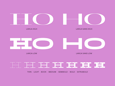 Larga dstype typography