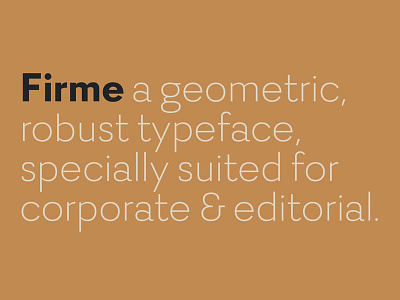 Firme dstype firme sans typography