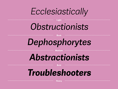 Jornada Sans italic overview sans styles typography