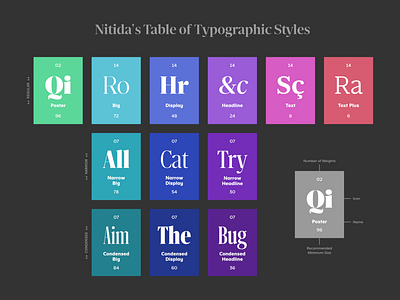 Nitida's Styles dstype specimen typeface typography