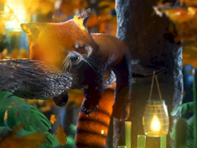 My kind of Lockdown 3d 3d animation aftereffects animal animation autumn character cinema4d cute forest fur leaves octane redpanda render