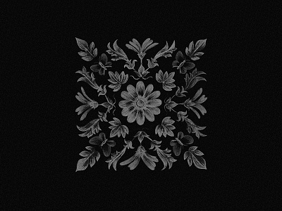 Floral — Illustration