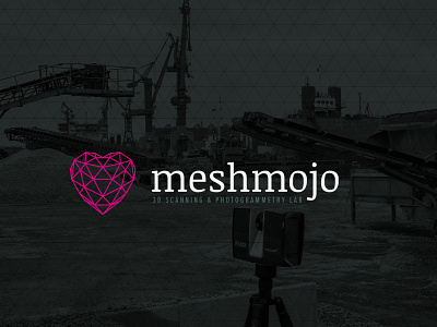 meshmojo - branding in progress