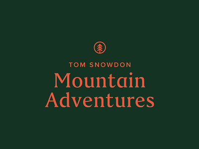 Tom Snowdon Mountain Adventures - concept 2 adventure badge green mountain pink snowdon tree tree logo