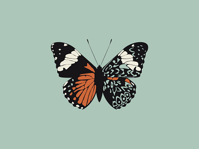 Butterfly Logo