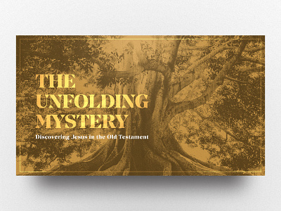 The Unfolding Mystery - Sermon series artwork bible church gospel jesus mystery old testament preach sermon teaching tree