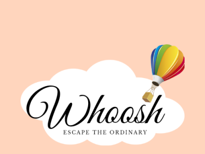 Hot Air Balloon Logo dailylogochallenge graphic design logo