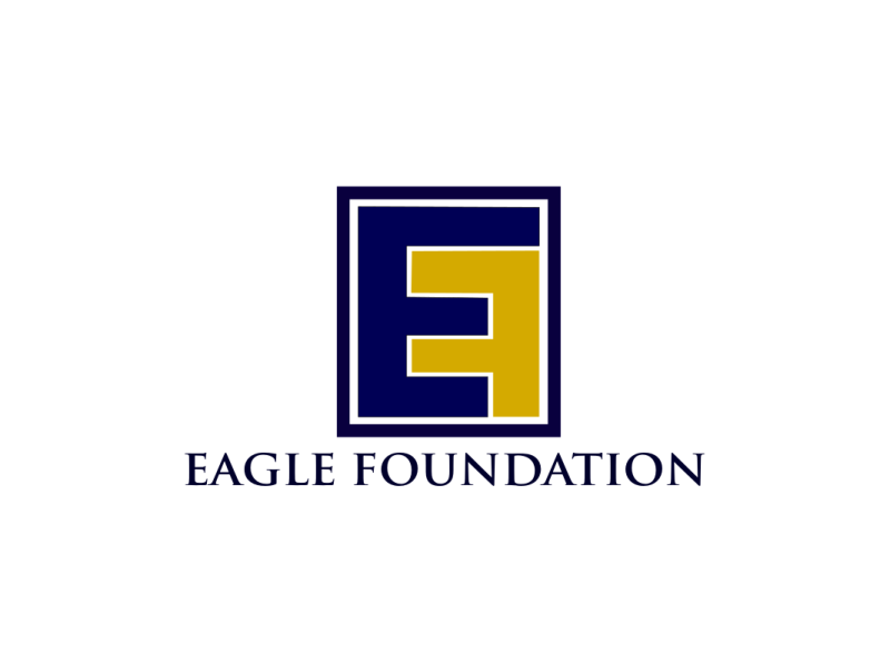 Eagle Foundation Branding Project by Enoch Patrick on Dribbble