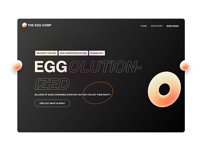 eggolution app design ho chi minh landing page ui design vietnam