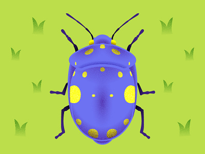 Beetle beetle bug grain grass illustration insect texture vector