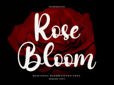 Rose Bloom Font 3d animation branding font graphic design illustration logo motion graphics ui