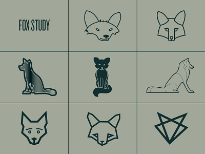 Fox Study foxes illustrations tattoo vulpine