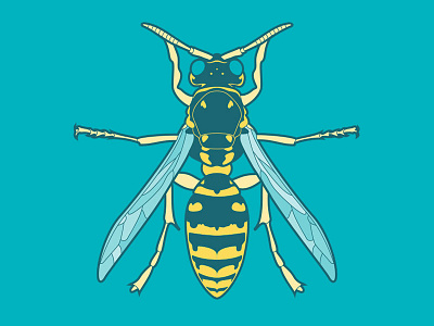 Buzz buzz illustration tritone wasp
