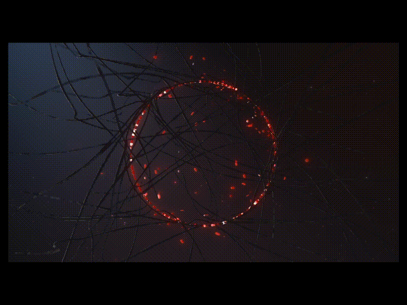 Immersive Audio Album. Ring scene. abtract cinema4d gif lines motion motion graphics particles redshift trails xparticles