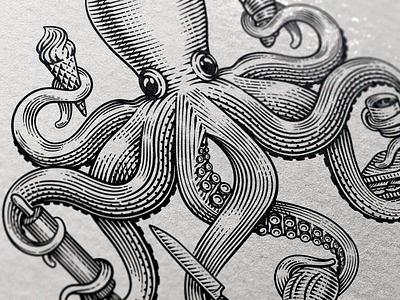 Octopus Close-up etching illustration logo octopus octopus logo restaurant retro scratchboard tentacles vintage
