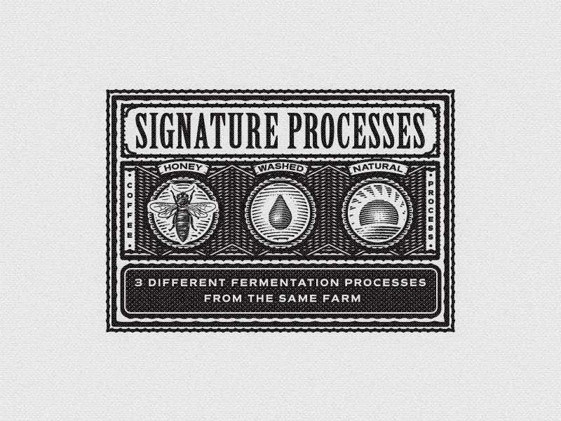 Signature graphic