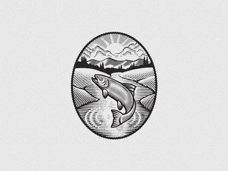 Fish nature