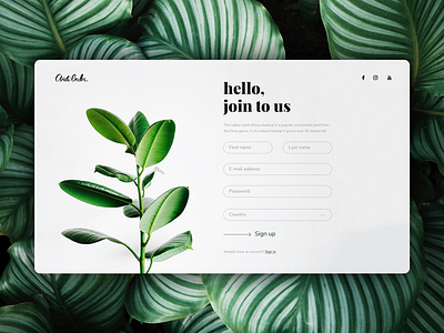 Daily UI #001 daily ui sign up page ui ui design