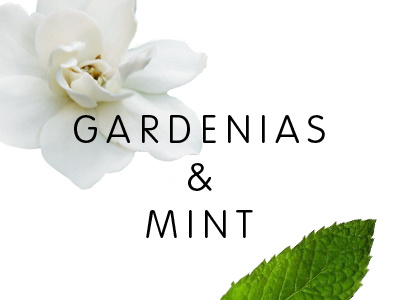 Gardenias & Mint blog branding