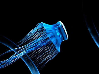 Jellyfish 3d animation blue c4d cgi cinema 4d jellyfish motion sea swim swimming underwater