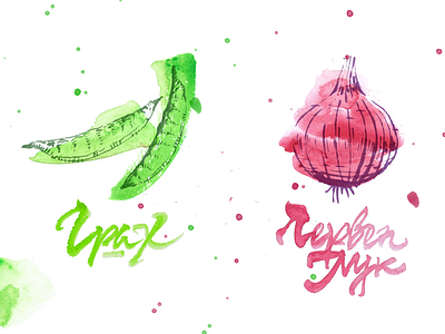 peas & red onion acuarele bulgaria calligraphy food illustration ivaylo nedkov onion peas red restaurant vegetables water colour