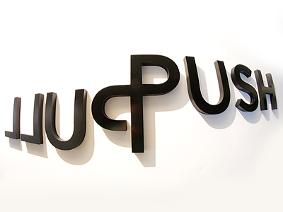 PushPull logo fisheye ivaylo nedkov logo typography
