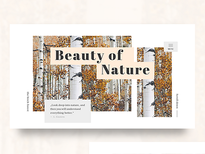 Beauty of Nature - Landingpage editorial flat landingpage light minimal minimalistic screen simple simplicity ui web webdesign