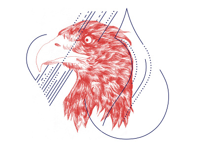 Finalised eagle eagle epok design illustrator ink sketch vector