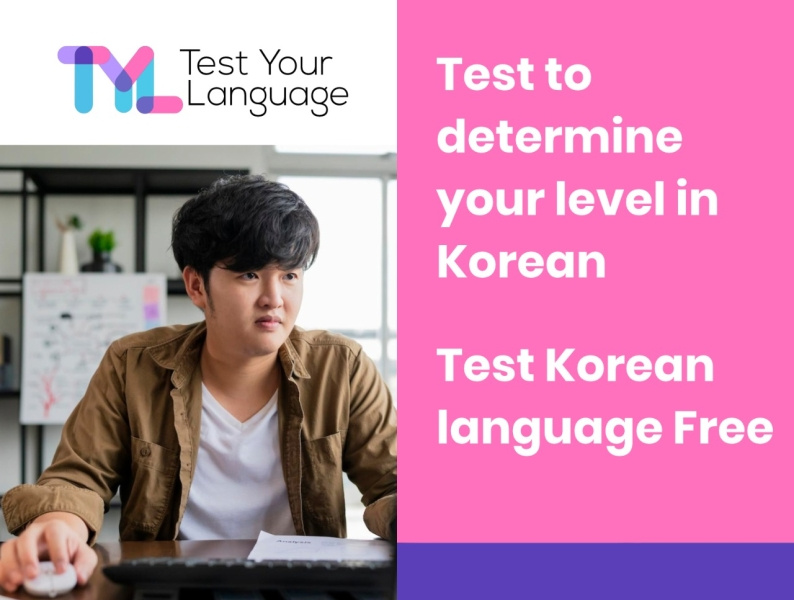 Test to Determine Your Level in Korean by Test Your Language on Dribbble