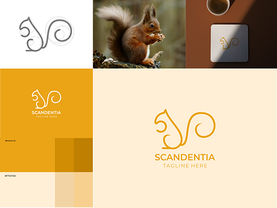 Squirrel Animal Logo animal animation brand design brand identity branding design graphic design illustration logo squirrel ui ux vector visual identity