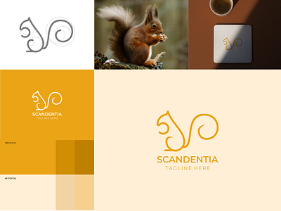 Squirrel Animal Logo