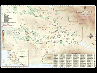 Santa Ynez Valley Viticultural Area branding design graphic design illustration typography vector